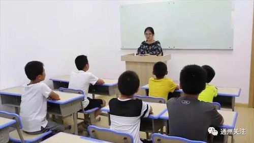 最高贈送16節課,定律教育精品晚班,周末興趣班招生啦 咨詢免費領精美禮品