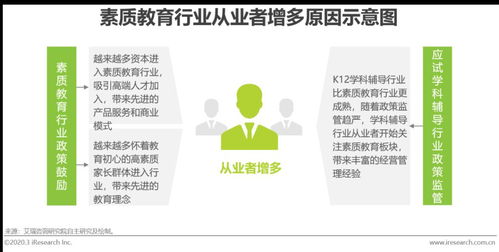 2020年中國素質教育行業(yè)研究報告 