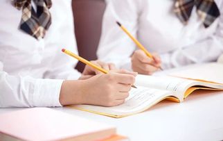 還在擔心上學難？專業教育咨詢助您輕松應對